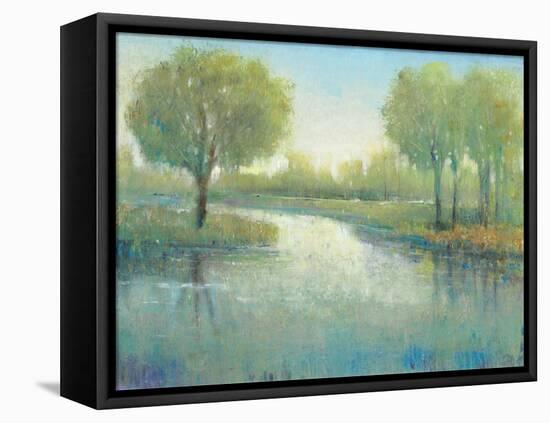 Winding River II-Tim O'toole-Framed Stretched Canvas