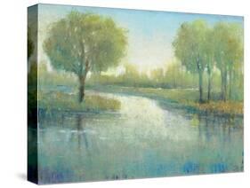 Winding River II-Tim O'toole-Stretched Canvas