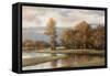 Winding River II-T.C. Chiu-Framed Stretched Canvas