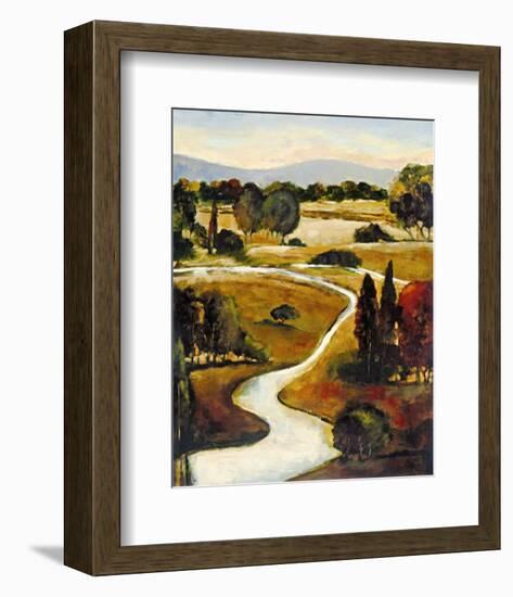 Winding Rivers-Carmen Dolce-Framed Art Print