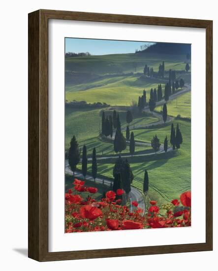 Winding Road and Poppies, Montichiello, Tuscany, Italy, Europe-Angelo Cavalli-Framed Photographic Print