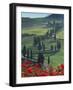 Winding Road and Poppies, Montichiello, Tuscany, Italy, Europe-Angelo Cavalli-Framed Photographic Print