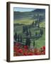 Winding Road and Poppies, Montichiello, Tuscany, Italy, Europe-Angelo Cavalli-Framed Photographic Print