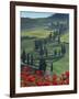 Winding Road and Poppies, Montichiello, Tuscany, Italy, Europe-Angelo Cavalli-Framed Photographic Print