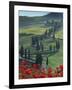 Winding Road and Poppies, Montichiello, Tuscany, Italy, Europe-Angelo Cavalli-Framed Photographic Print