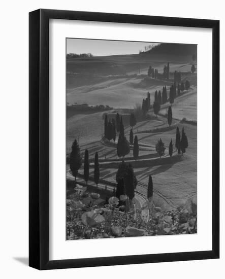 Winding Road and Poppies, Montichiello, Tuscany, Italy, Europe-Angelo Cavalli-Framed Photographic Print