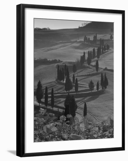 Winding Road and Poppies, Montichiello, Tuscany, Italy, Europe-Angelo Cavalli-Framed Photographic Print