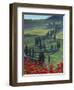 Winding Road and Poppies, Montichiello, Tuscany, Italy, Europe-Angelo Cavalli-Framed Photographic Print