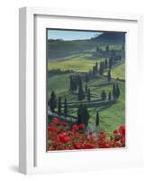 Winding Road and Poppies, Montichiello, Tuscany, Italy, Europe-Angelo Cavalli-Framed Photographic Print