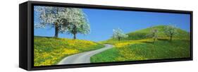 Winding Road Canton Switzerland-null-Framed Stretched Canvas