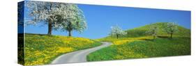 Winding Road Canton Switzerland-null-Stretched Canvas