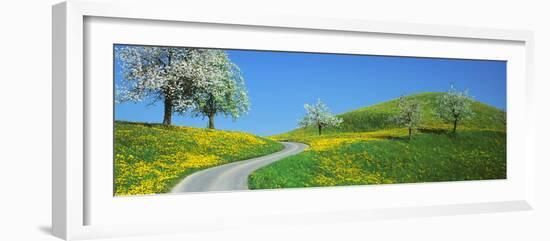 Winding Road Canton Switzerland-null-Framed Photographic Print