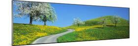 Winding Road Canton Switzerland-null-Mounted Photographic Print