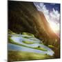 Winding Road in a Forest of Dolomite Alps at Sunset, Northern Italy-null-Mounted Photographic Print