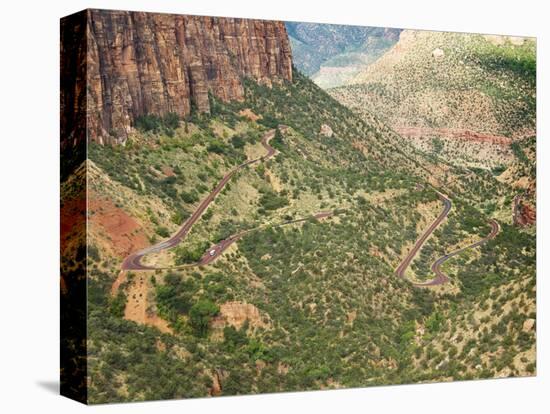 Winding Road in Zion National Park-Larry Lee-Stretched Canvas