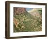 Winding Road in Zion National Park-Larry Lee-Framed Photographic Print