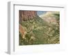 Winding Road in Zion National Park-Larry Lee-Framed Photographic Print