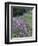 Winding Road Lined with Lupine Flowers, California, USA-Adam Jones-Framed Photographic Print