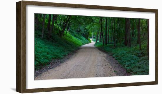 Winding road through a forest near Cassville, Grant County, Wisconsin, USA-null-Framed Photographic Print