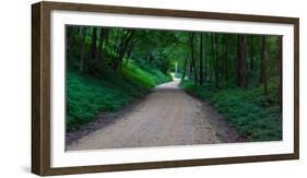 Winding road through a forest near Cassville, Grant County, Wisconsin, USA-null-Framed Photographic Print