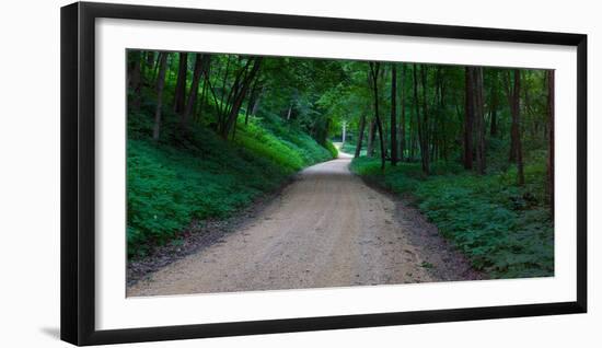 Winding road through a forest near Cassville, Grant County, Wisconsin, USA-null-Framed Photographic Print