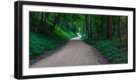 Winding road through a forest near Cassville, Grant County, Wisconsin, USA-null-Framed Photographic Print