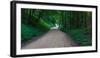 Winding road through a forest near Cassville, Grant County, Wisconsin, USA-null-Framed Photographic Print