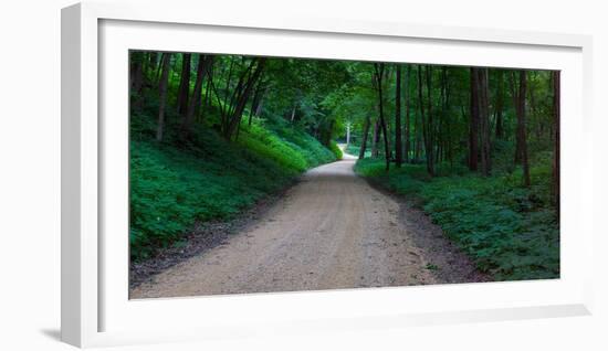 Winding road through a forest near Cassville, Grant County, Wisconsin, USA-null-Framed Photographic Print