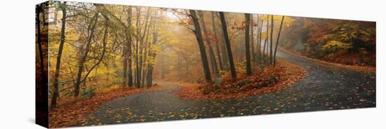 Winding Road Through Mountainside in Autumn, Monadnock Mountain, New Hampshire, USA-null-Stretched Canvas