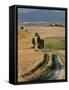 Winding Road, Val D' Orcia, Tuscany, Italy-Peter Adams-Framed Stretched Canvas