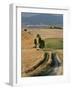 Winding Road, Val D' Orcia, Tuscany, Italy-Peter Adams-Framed Photographic Print