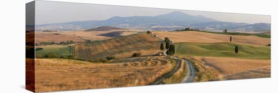 Winding Road, Val D' Orcia, Tuscany, Italy-Peter Adams-Stretched Canvas