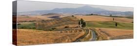 Winding Road, Val D' Orcia, Tuscany, Italy-Peter Adams-Stretched Canvas