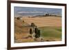 Winding Road, Val d' Orica, Tuscany, Italy-Peter Adams-Framed Photographic Print