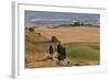 Winding Road, Val d' Orica, Tuscany, Italy-Peter Adams-Framed Photographic Print