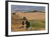 Winding Road, Val d' Orica, Tuscany, Italy-Peter Adams-Framed Photographic Print