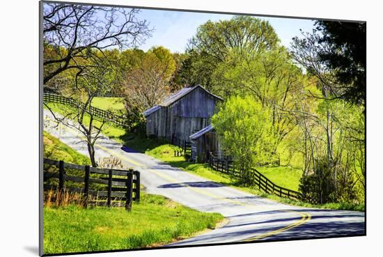 Winding Road-Alan Hausenflock-Mounted Photographic Print