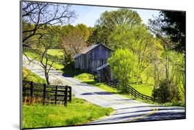 Winding Road-Alan Hausenflock-Mounted Photographic Print