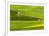 Winding rural dirt road through rolling hills of canola and wheat crops, Palouse region of Eastern -Adam Jones-Framed Photographic Print