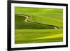 Winding rural dirt road through rolling hills of canola and wheat crops, Palouse region of Eastern -Adam Jones-Framed Photographic Print