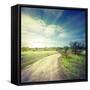 Winding Sandy Road in Field under the Daylight Sky-Alexlukin-Framed Stretched Canvas