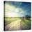 Winding Sandy Road in Field under the Daylight Sky-Alexlukin-Stretched Canvas