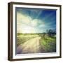 Winding Sandy Road in Field under the Daylight Sky-Alexlukin-Framed Photographic Print