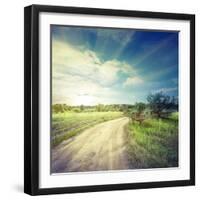 Winding Sandy Road in Field under the Daylight Sky-Alexlukin-Framed Photographic Print