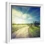 Winding Sandy Road in Field under the Daylight Sky-Alexlukin-Framed Photographic Print