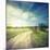 Winding Sandy Road in Field under the Daylight Sky-Alexlukin-Mounted Photographic Print