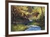 Winding Stream-Martha Saudek-Framed Giclee Print