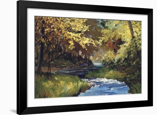 Winding Stream-Martha Saudek-Framed Giclee Print