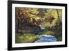 Winding Stream-Martha Saudek-Framed Giclee Print