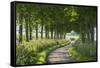 Winding Tree Lined Country Lane, Dorset, England. Summer (July)-Adam Burton-Framed Stretched Canvas